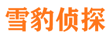 涡阳市调查公司